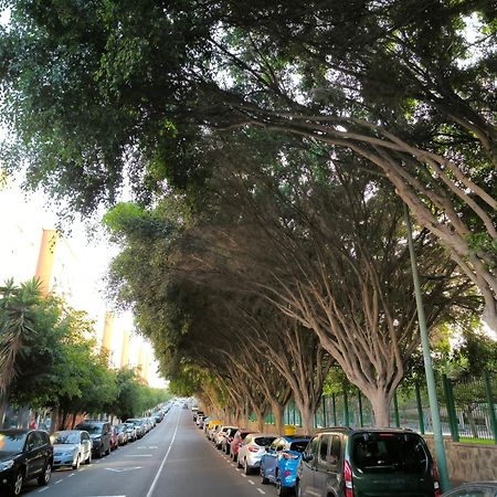Beis House Lägenhet Las Palmas de Gran Canaria Exteriör bild